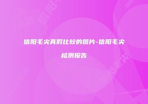 信阳毛尖真假比较的图片-信阳毛尖检测报告