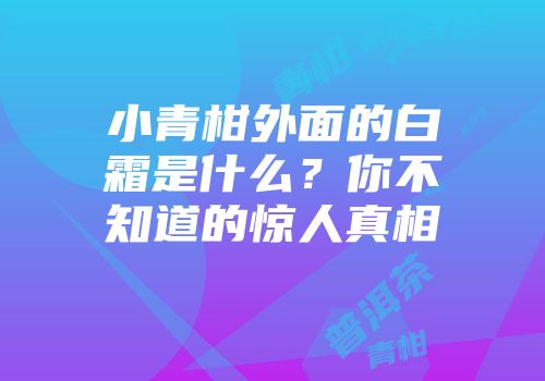 小青柑外面的白霜是什么？你不知道的惊人真相