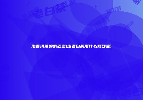 泡普洱茶的紫砂壶(泡老白茶用什么紫砂壶)