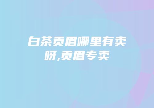 白茶贡眉哪里有卖呀,贡眉专卖