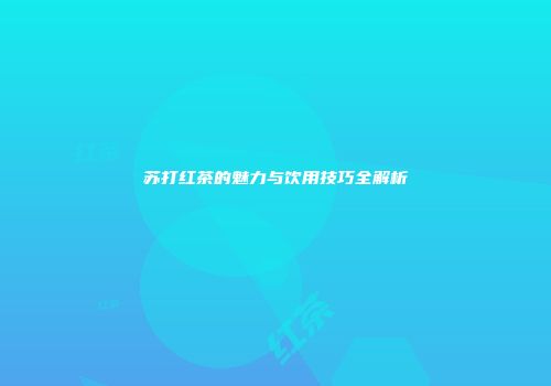 苏打红茶的魅力与饮用技巧全解析