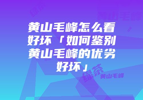 黄山毛峰怎么看好坏「如何鉴别黄山毛峰的优劣好坏」