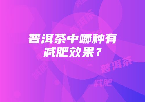 普洱茶中哪种有减肥效果？