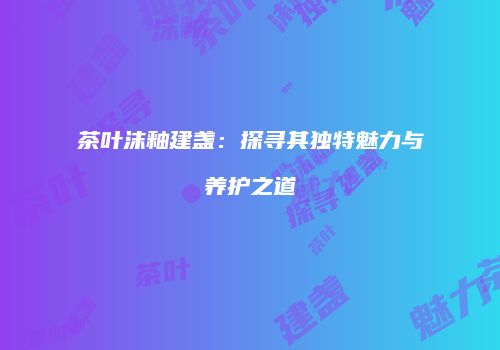 茶叶沫釉建盏：探寻其独特魅力与养护之道