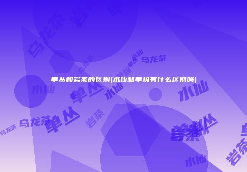 单丛和岩茶的区别(水仙和单枞有什么区别吗)