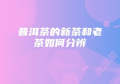 普洱茶的新茶和老茶如何分辨