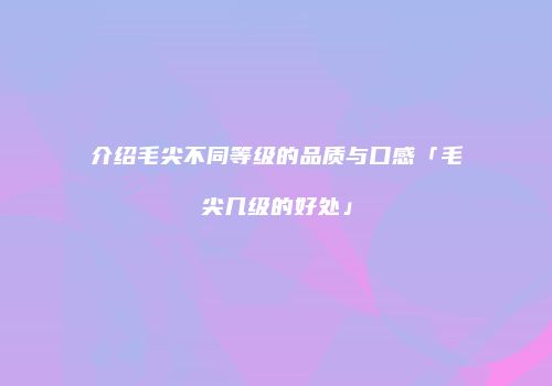 介绍毛尖不同等级的品质与口感「毛尖几级的好处」