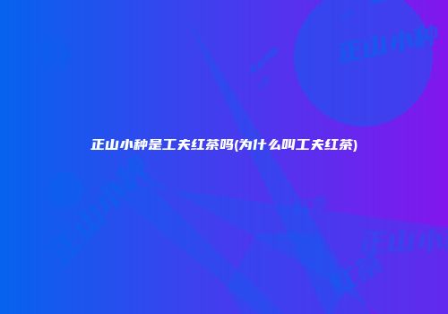 正山小种是工夫红茶吗(为什么叫工夫红茶)