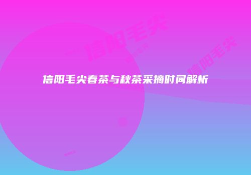 信阳毛尖春茶与秋茶采摘时间解析