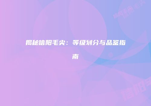 揭秘信阳毛尖：等级划分与品鉴指南