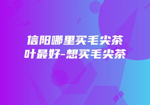 信阳哪里买毛尖茶叶最好-想买毛尖茶