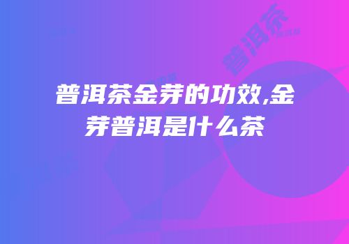 普洱茶金芽的功效,金芽普洱是什么茶