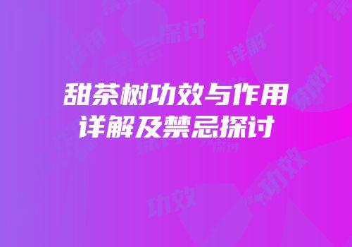 甜茶树功效与作用详解及禁忌探讨