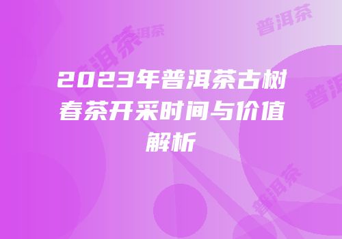 2023年普洱茶古树春茶开采时间与价值解析