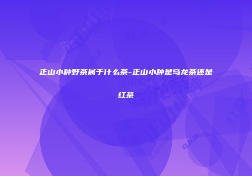 正山小种野茶属于什么茶-正山小种是乌龙茶还是红茶