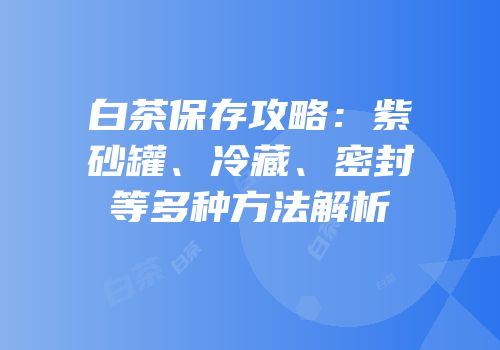 白茶保存攻略：紫砂罐、冷藏、密封等多种方法解析