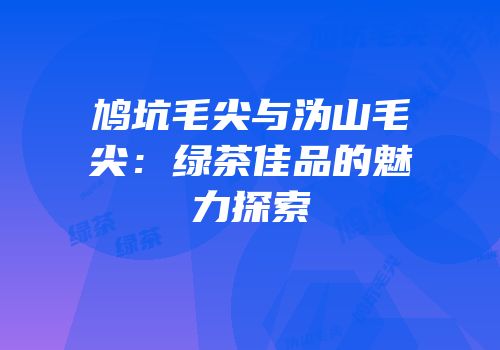 鸠坑毛尖与沩山毛尖：绿茶佳品的魅力探索