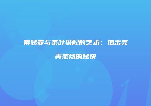 紫砂壶与茶叶搭配的艺术：泡出完美茶汤的秘诀