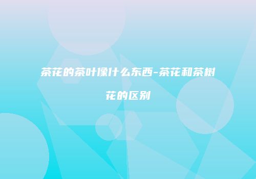 茶花的茶叶像什么东西-茶花和茶树花的区别