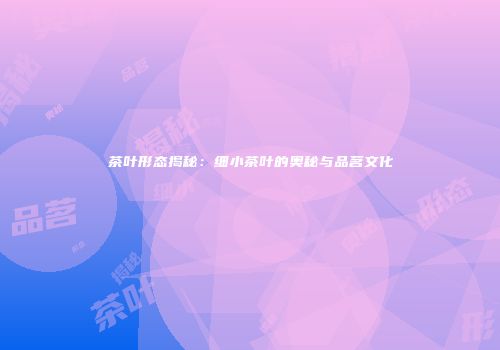 茶叶形态揭秘：细小茶叶的奥秘与品茗文化
