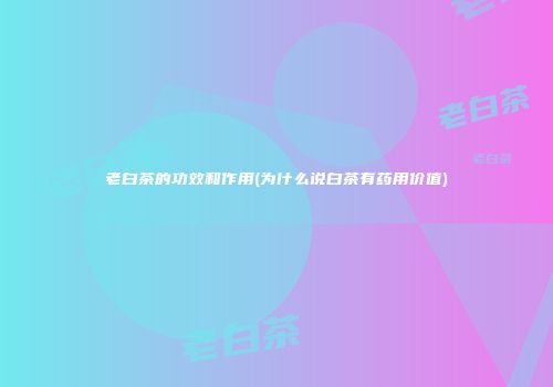 老白茶的功效和作用(为什么说白茶有药用价值)