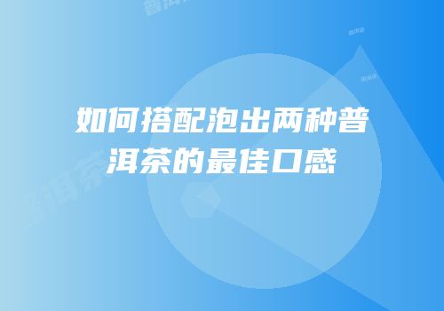 如何搭配泡出两种普洱茶的最佳口感