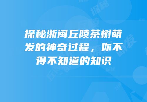 探秘浙闽丘陵茶树萌发的神奇过程，你不得不知道的知识