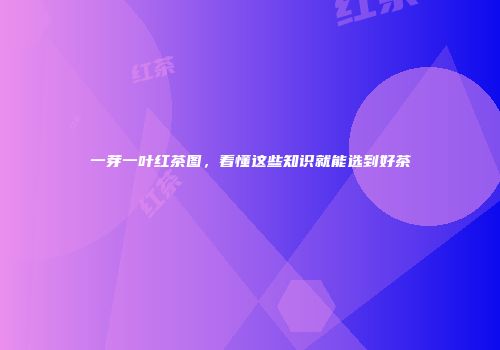 一芽一叶红茶图，看懂这些知识就能选到好茶