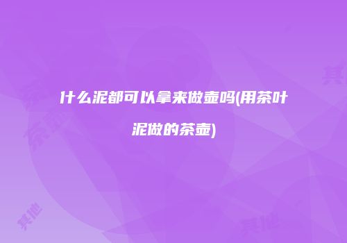 什么泥都可以拿来做壶吗(用茶叶泥做的茶壶)