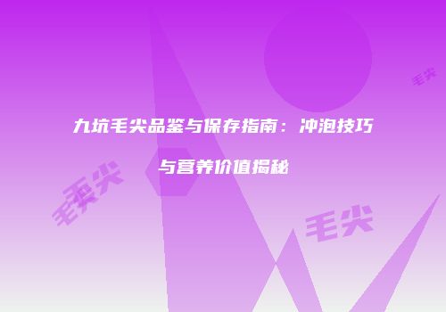 九坑毛尖品鉴与保存指南：冲泡技巧与营养价值揭秘