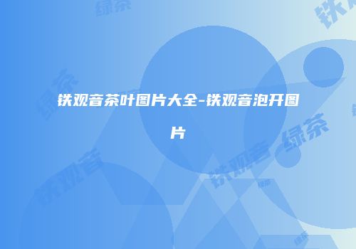 铁观音茶叶图片大全-铁观音泡开图片