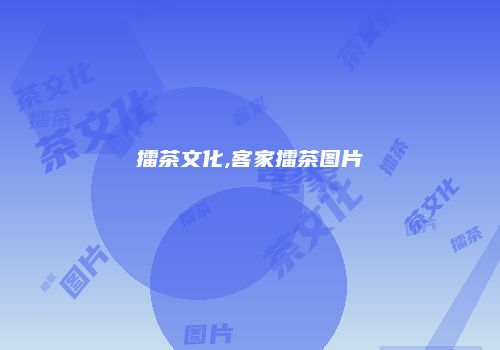 擂茶文化,客家擂茶图片