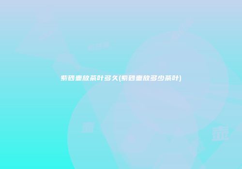 紫砂壶放茶叶多久(紫砂壶放多少茶叶)