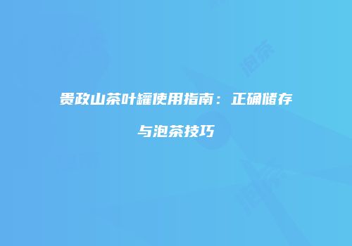 贵政山茶叶罐使用指南：正确储存与泡茶技巧