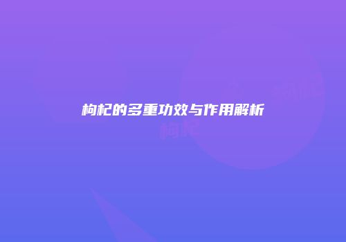 枸杞的多重功效与作用解析
