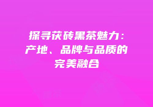 探寻茯砖黑茶魅力：产地、品牌与品质的完美融合