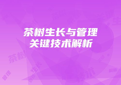 茶树生长与管理关键技术解析