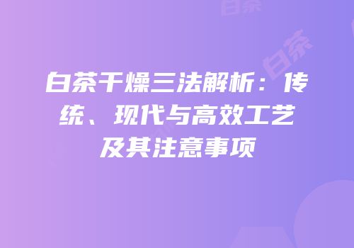 白茶干燥三法解析：传统、现代与高效工艺及其注意事项