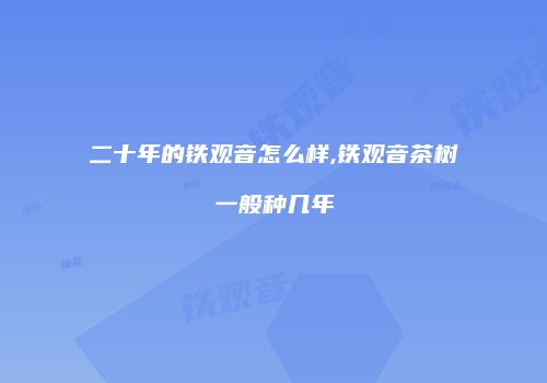 二十年的铁观音怎么样,铁观音茶树一般种几年
