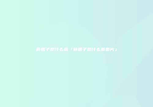 碎银子是什么茶「碎银子是什么茶图片」