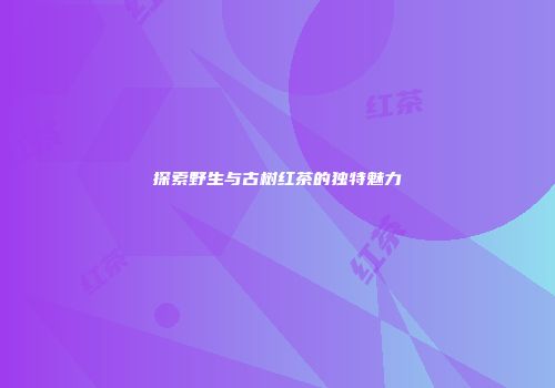探索野生与古树红茶的独特魅力