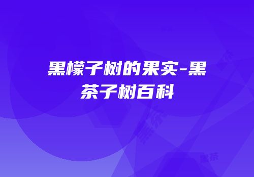 黑檬子树的果实-黑茶子树百科