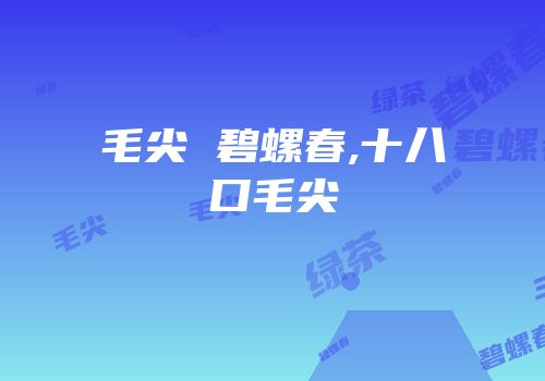 毛尖 碧螺春,十八口毛尖
