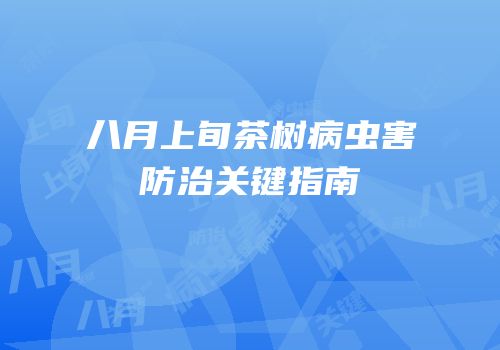 八月上旬茶树病虫害防治关键指南