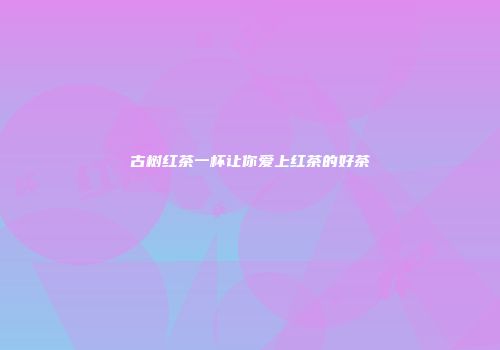 古树红茶一杯让你爱上红茶的好茶
