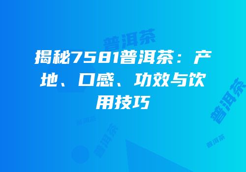 揭秘7581普洱茶：产地、口感、功效与饮用技巧