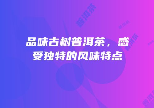 品味古树普洱茶，感受独特的风味特点