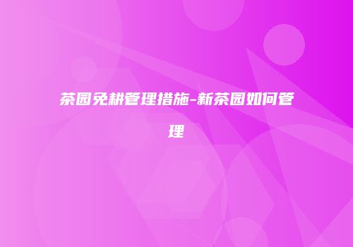 茶园免耕管理措施-新茶园如何管理