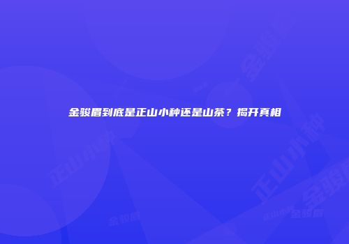 金骏眉到底是正山小种还是山茶？揭开真相