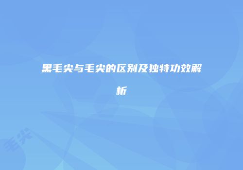 黑毛尖与毛尖的区别及独特功效解析